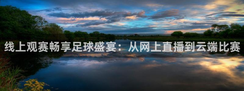 世界杯足球：线上观赛畅享足球盛宴：从网上直播到云端比赛
