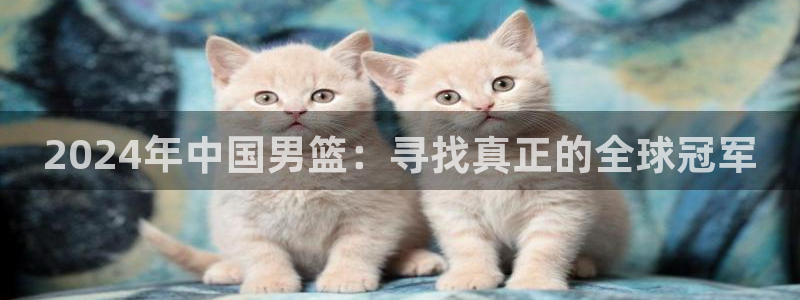 世界杯比赛直播：2024年中国男篮：寻找真正的全球冠军