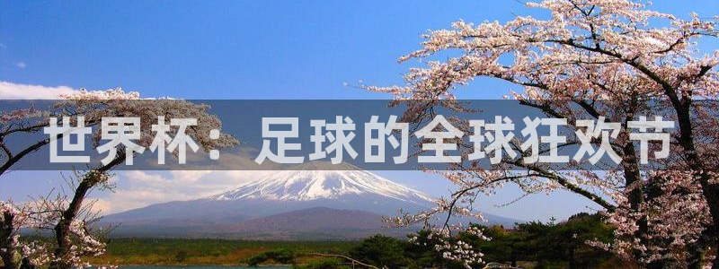 世界杯时间：世界杯：足球的全球狂欢节