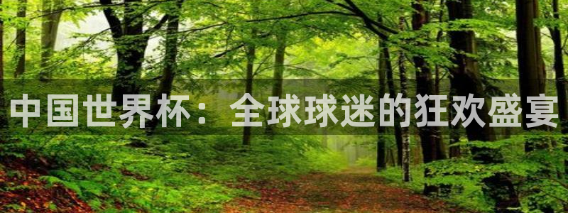 澳门世界杯直播：中国世界杯：全球球迷的狂欢盛宴