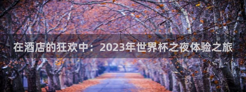世界杯附加赛赛程表：在酒店的狂欢中：2023年世界杯之夜体验之旅