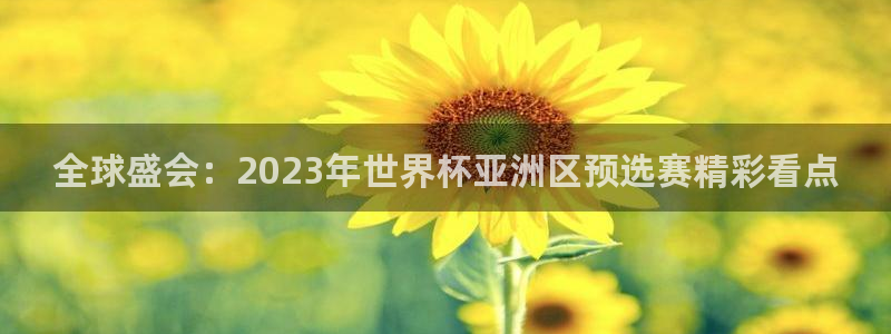 2026年世界杯直播平台：全球盛会：2023年世界杯亚洲区预选赛精彩看点