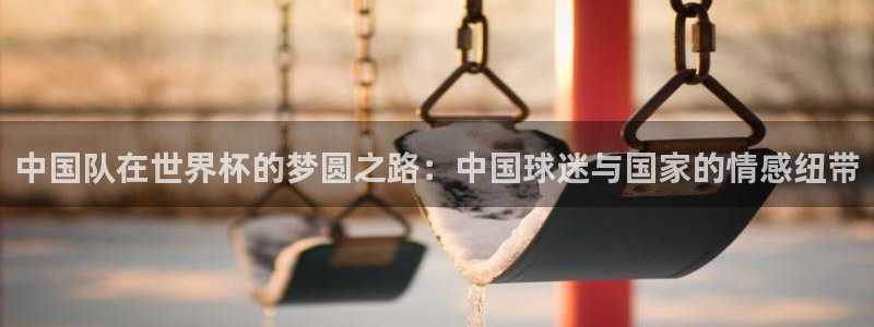 世界杯直播高清：中国队在世界杯的梦圆之路：中国球迷与国家的情感纽带
