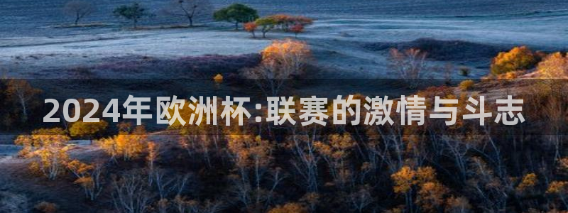 世界杯足球赛2026赛程时间:2024年欧洲杯:联赛的激情与斗志