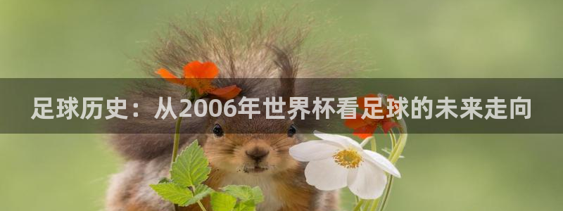 世界杯今日赛程直播：足球历史：从2006年世界杯看足球的未来走向