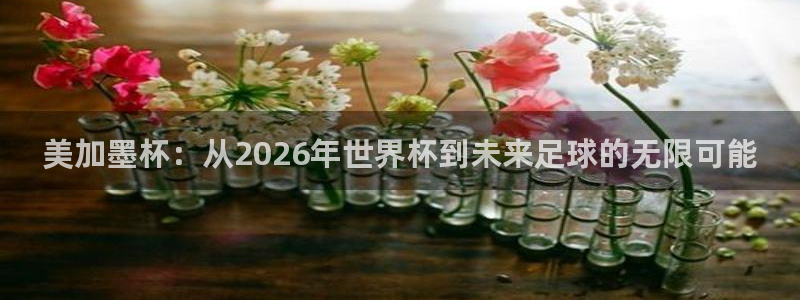 世界杯比赛时间：美加墨杯：从2026年世界杯到未来足球的无限可能