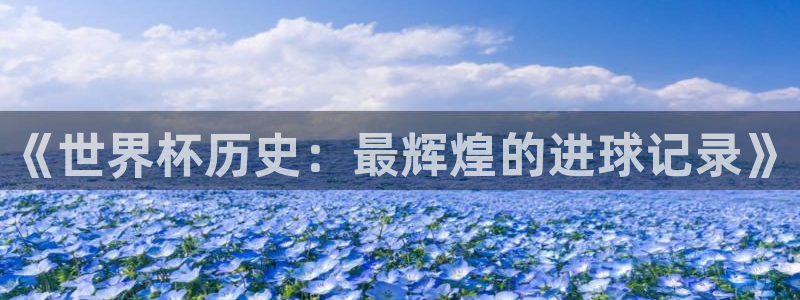 世界杯附加赛赛程表：《世界杯历史：最辉煌的进球记录》