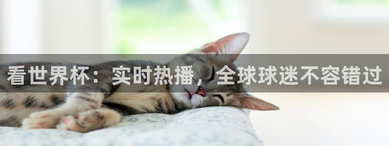 2026足球世界杯：看世界杯：实时热播，全球球迷不容错过