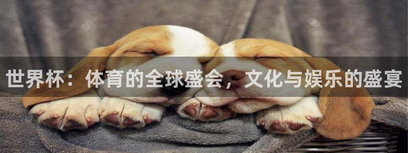 澳门世界杯直播：世界杯：体育的全球盛会，文化与娱乐的盛宴