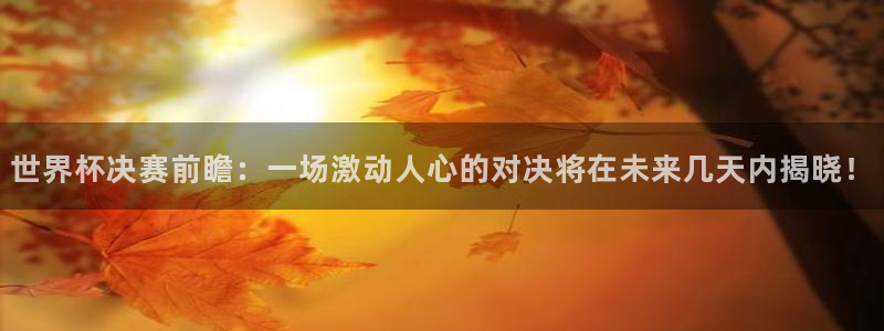 中国 世界杯：世界杯决赛前瞻：一场激动人心的对决将在未来几天内揭晓！