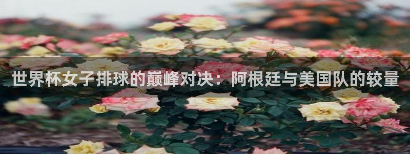 世界杯 赛程：世界杯女子排球的巅峰对决：阿根廷与美国队的较量