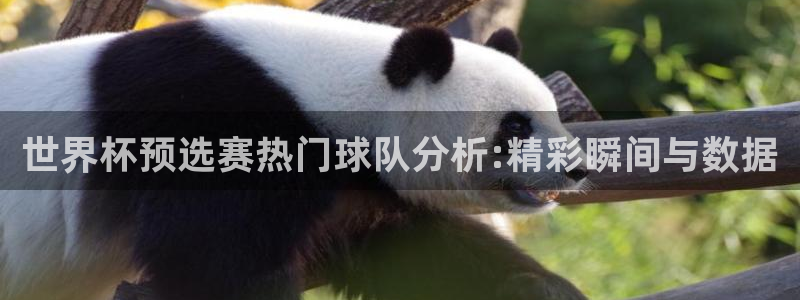 2026世界杯欧洲预选赛赛程表：世界杯预选赛热门球队分析:精彩瞬间与数据