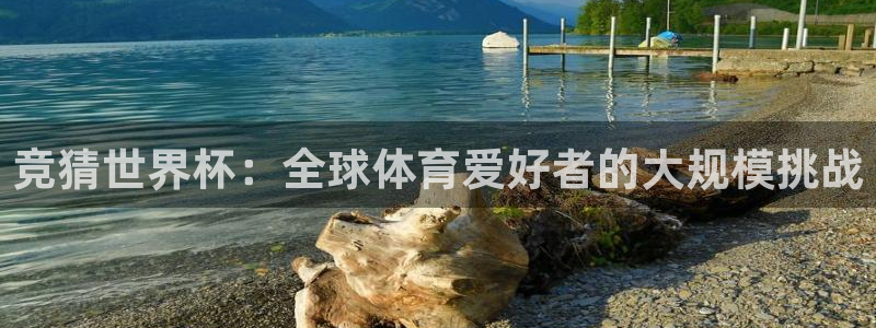 世界杯对阵表：竞猜世界杯：全球体育爱好者的大规模挑战