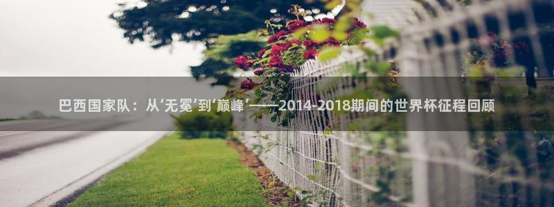 中国 世界杯：巴西国家队：从‘无冕’到‘巅峰’——2014-2018期间的世界杯征程回顾