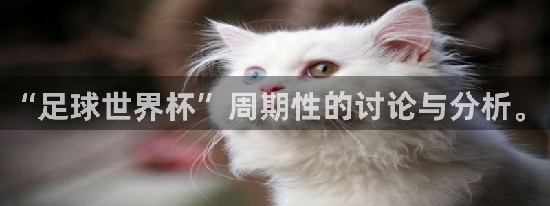 2026世界杯亚洲区预选赛赛程：“足球世界杯”周期性的讨论与分析。